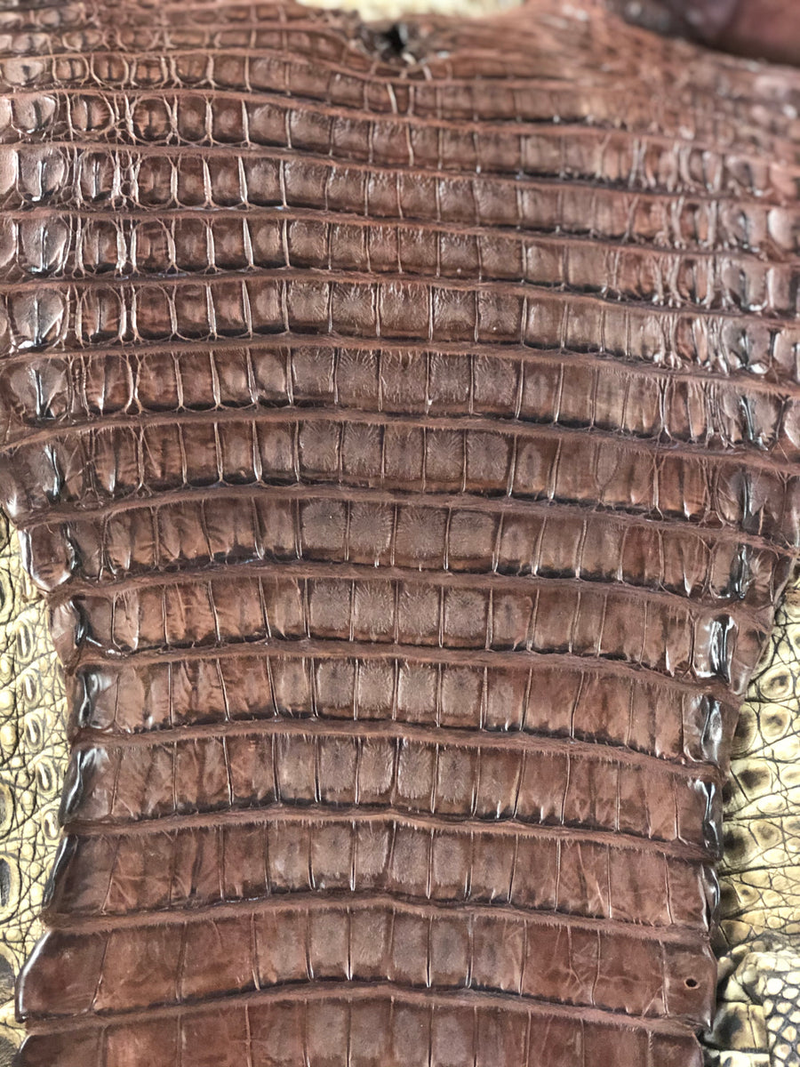 Full Genuine Alligator Belly Jacket