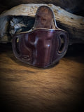Sample of Dark Brown Dye